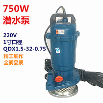 750W0 75KW submersible pump household agricultural irrigation garden drainage underground pumping water watering flower washing car 220V single phase