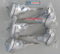 Taiwan RTW temperature bar thermocouple thermal resistance temperature sensor PT * KN * 1 2*80*6 3