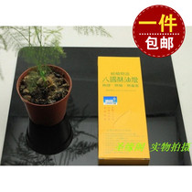 Pure eight countries ghee grains 100%pure plant ghee does not contain a drop of wax lamp aluminum shell ghee grains for Buddha