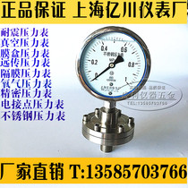Shanghai Yichuan YNTP-100BF-ML 1MPa All stainless steel shockproof diaphragm pressure gauge flange 304 material