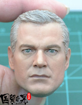 DAMTOYS DAM 78050 US NAVY COMMANDER NAVY CAPTAIN HEAD CARVING 1 6 soldiers MODEL