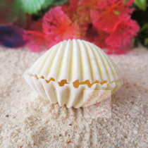 (consignment of crab supplies) feeding with water small shells scallop sea snail food basin water basin natural rearing vat