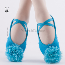 Young childrens dance shoes soft bottom practice shoes girls cat claw shoes childrens dance shoes soft dance shoes Childrens blue flowers