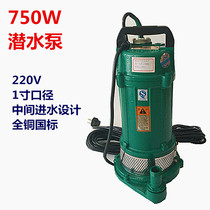 750W0 75KW submersible pump household agricultural irrigation and drainage 220V single-phase downhole pumping pump drainage pump washing water