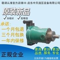 Factory direct high quality high efficiency and low noise 160PCY 160PCY14-1B Qidong high pressure oil pump