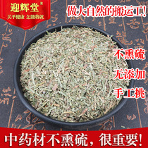 Chinese herbal medicine Cypress leaf 500g fresh dried Cypress leaf no fumigation sulfur no wild cypress leaf