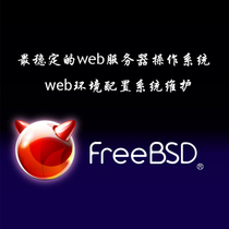  FreeBSD server system Maintenance Environment Configuration Website program installation and debugging Alibaba Cloud database