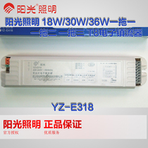 Sunshine lighting YZ-E318 T5T8 sunshine fluorescent lamp electronic ballast one tow three iron town plastic town sunshine