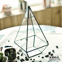 Rice fruit new product eternal flower succulent plant glass flower room retro spire graphic flower Ware tin flower pot