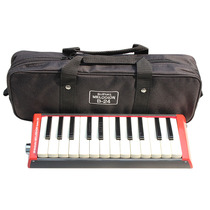 SUZUKI B-24 B24 playing bass organ 24 bass