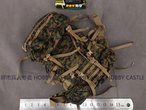 1 6 soldiers SUPERMCTOYS F-063 Marine ILBE jungle digital main backpack