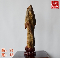 Desert wood fossils red and yellow strange stone town house ornaments wood silicified Jade Silicified Wood