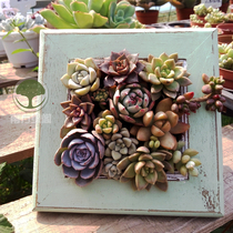 Southern green pavilion fleshy picture frame wall-mounted flower pot plant wall vertical greening solid wood flower pot gift