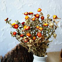 Natural dried flowers colorful chrysanthemum green leaves small daisy flowers 30 flowers Photography