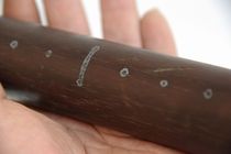 Old objects ancient play of miscellaneous red wood scales