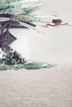 Plate woman costume background paper photo studio theme costume photo background photo studio costume background cloth shallow Flower Branch