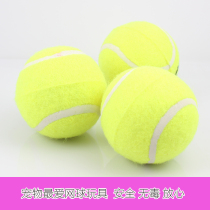 Dog Toy Tennis Pet Toy Golden Retriever Teddy Dog Toy Bouncy Ball Golden Retriever Puppy Tennis