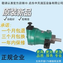 Factory Direct Sale high quality high efficiency and low noise 160SCY 160SCY14-1B Qidong axial piston pump