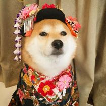 Old Customer Customized Spot