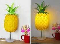 Turn waste into treasure water bottle handmade pineapple table lamp DIY making material package large handmade