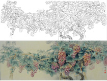Gongbi painting white sketch background draft Sun Xizhi grape 50*132 physical white paper print draft with color 076T