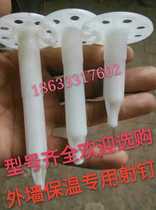 Hot Pin Spike external wall insulation nail model complete quality assurance with great price of 2-20 cm