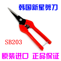 Imported Korean nova scissors SB203 industrial household DIY jewelry scissors orb scissors 195m