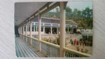 Early Mao Chairmans old residence gallery No postage postcards Hunan Peoples Post