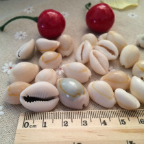 Natural yellow treasure snail 1 yuan 3 shells conch fish tank aquarium landscaping floor home decoration decoration about 2cm