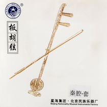 Xinghai Qinqiang Banhu String Set X76