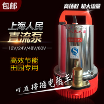 Direct Direct Flow Pump Shanghai Peoples 12V24V48V60V Submersible Pump Battery Car Special Centrifugal Pump