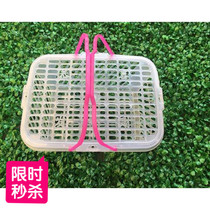 Factory wholesale rectangular Bayberry Strawberry Basket portable 5kg white plastic fruit basket storage basket with cover