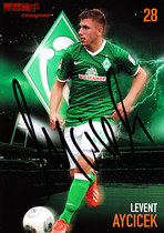 Echiček Werder Bremen 2013-14 season autograph official card star card