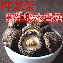 Shenlongjia Shenshan premium farm self-produced natural mushrooms mushrooms wild basswood mushrooms dried goods 500g