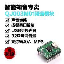 Voice prompter module serial port control MP3 recording and playing music voice decoding IC chip module board 008M01
