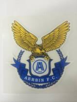 Super 2013 2014 Dalian Albin player version hot stamping team emblem spot custom sportswear