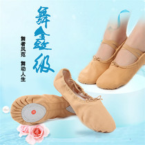 Camel new adult children Children dance Girls Soft-soled practice Ballet Belly dance Cat claw body dance shoes