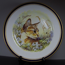 British Spode Cat series decorative hanging plate sitting reserve