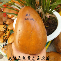 Yunnan natural Huanglong jade rough stone ornaments yellow wax stone Turtle Suntai Town House Feng Shui bare stone origin direct sales