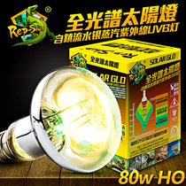 Reptile climbing pet Full spectrum UVA UVB solar lamp Tortoise Lizard Heated sun back light Calcium lamp mega-ray