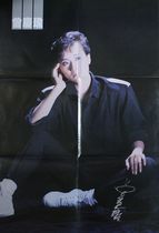 Zeng Qingyu Port Version Fashion Styling Big Poster One (Size: 52cm * 76 5cm) ¥ RMB78