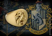 United States Warners Genuine Harry Potter Perimeter Hogwarts Hedgepoch Academy Badges Pure Silver Ring