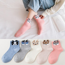 Autumn and winter new cartoon - forty puppy in the stockings cute personality socks student socks