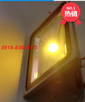 led color outdoor waterproof proof lamp 10w20w30w40w50w70w100wlawn lawn waterproof lights