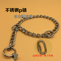 Stainless steel Item Circle Gold Maud Shepherd Large Dog Training Dog Chain p Chain Control Chain Sub-Dog Chained Dog Metal Neck