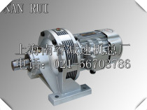 WB100 Micro Cycloid Pin Wheel Reducer WB100-WD-35 43 47 29 23-250 370 550