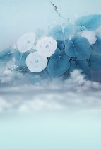 Plate woman costume background paper photo studio theme costume photo background lotus photo studio costume background cloth