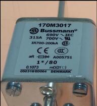 BUSSMANN fuse 170 M6119 6120 6121 6269 6270 6271