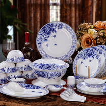 Jingdezhen ceramics 56 high-grade bone porcelain blue and white porcelain butterfly orchid tableware set Bowl plate wedding housewarming