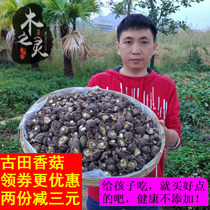 Selected shiitake mushrooms 250g Gutian farmhouse fresh meat thick specialty cut foot black noodle mushroom basswood home winter Ru